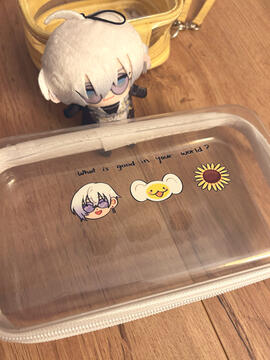 Clear Zip Pouches